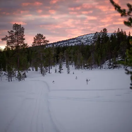 Crow Creek Hytte Inari